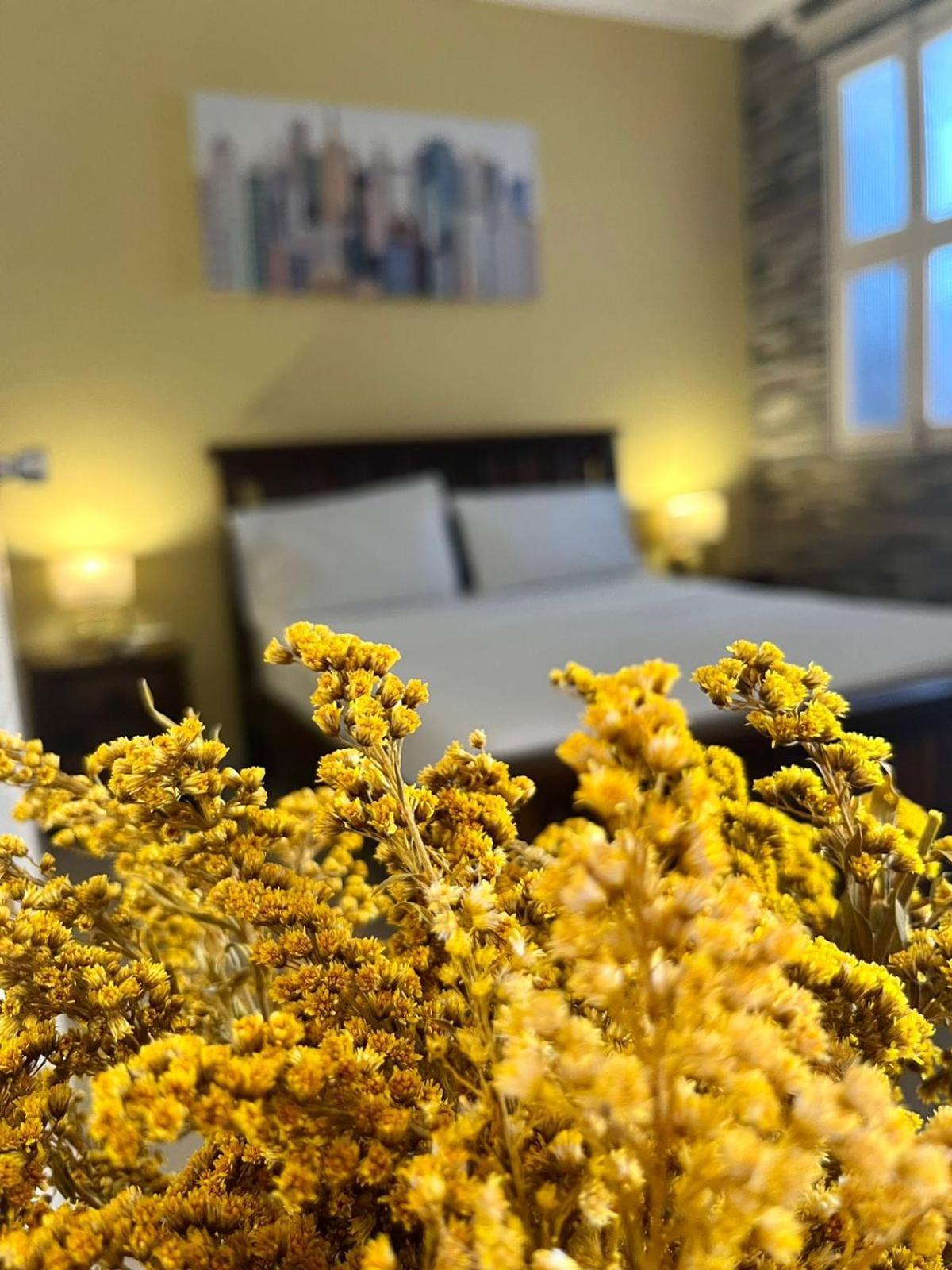 El Viajero Centro Hotel